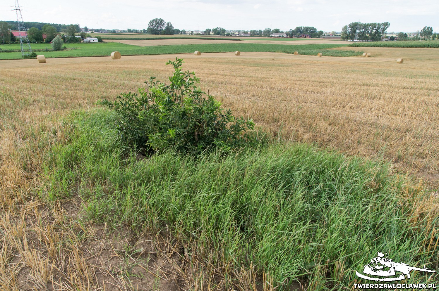 Read more about the article Schron Ringstand 58c – OP 08