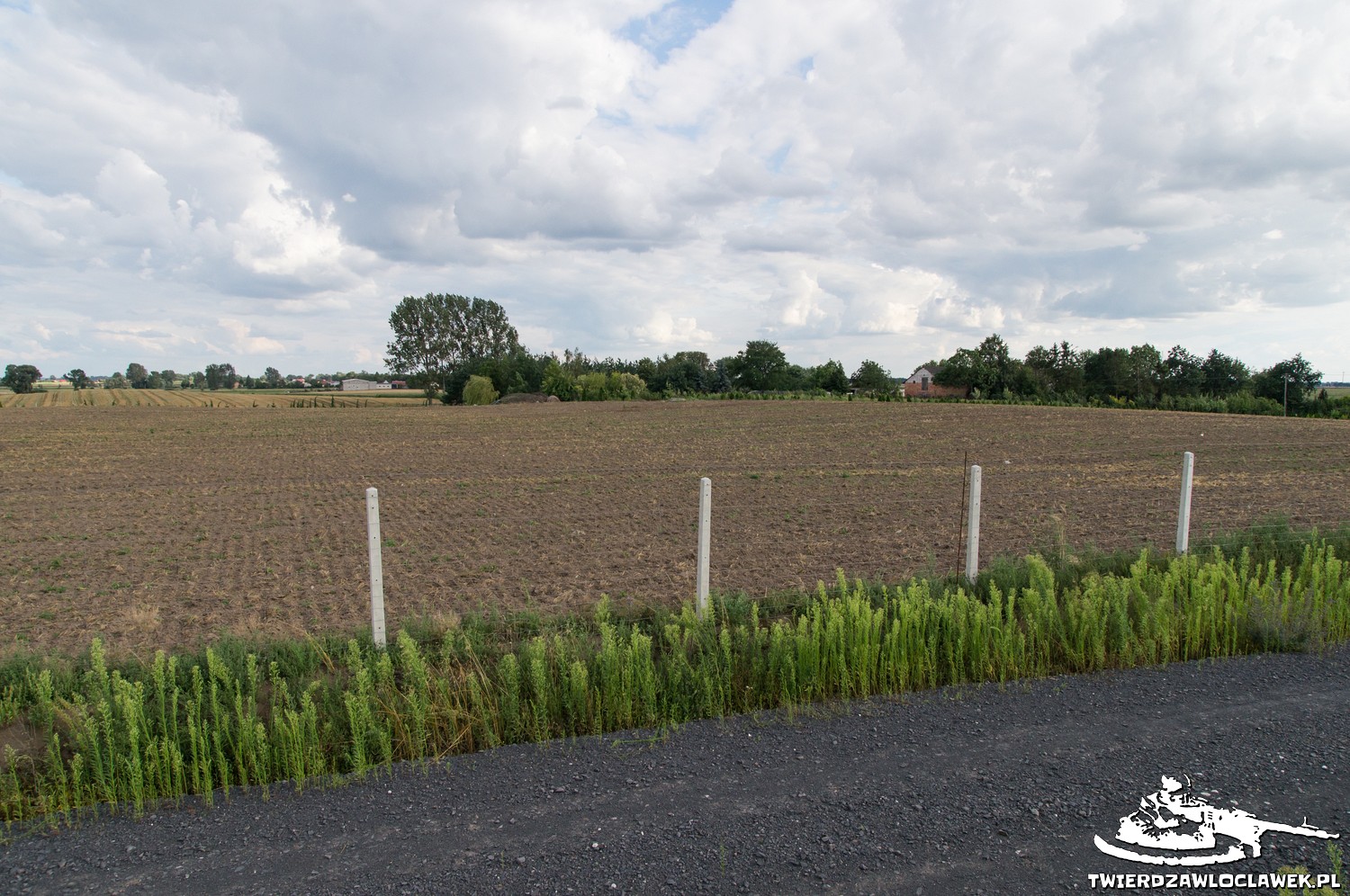 Read more about the article Schron Ringstand 58c – OP 09