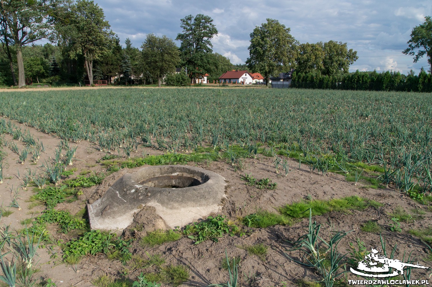 Read more about the article Schron Ringstand 58c – RA 12