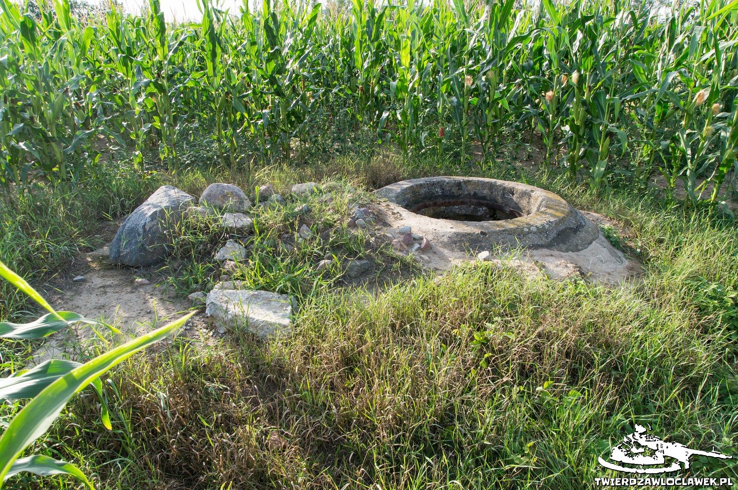 Read more about the article Schron Ringstand 58c – RA 15