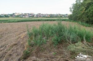 Read more about the article Schron Ringstand 58c – RA 14