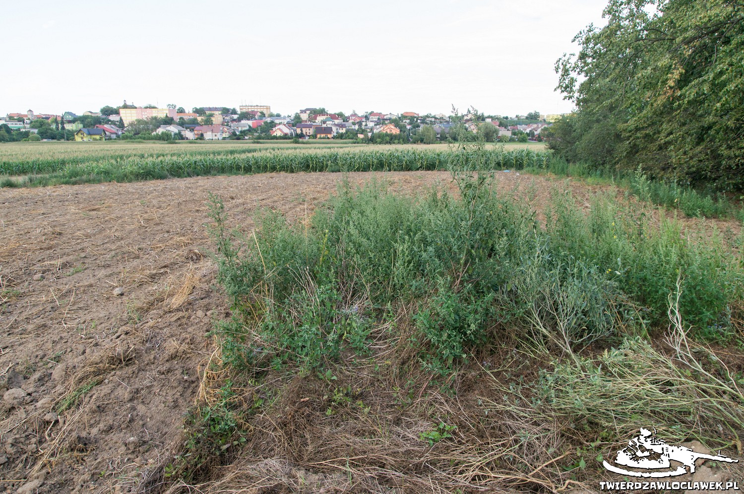 Read more about the article Schron Ringstand 58c – RA 14