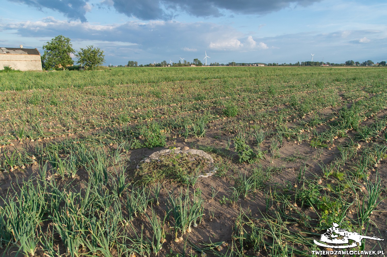 Read more about the article Schron Ringstand 58c – RA 05