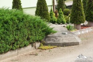 Read more about the article Schron Ringstand 58c – TO 06