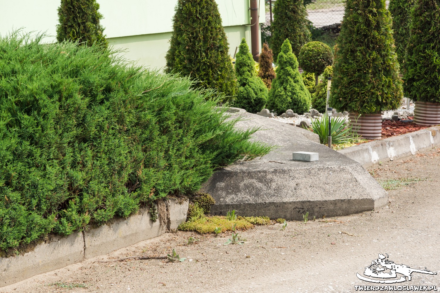 Read more about the article Schron Ringstand 58c – TO 06