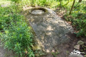 Read more about the article Schron Ringstand 58c – TO 08