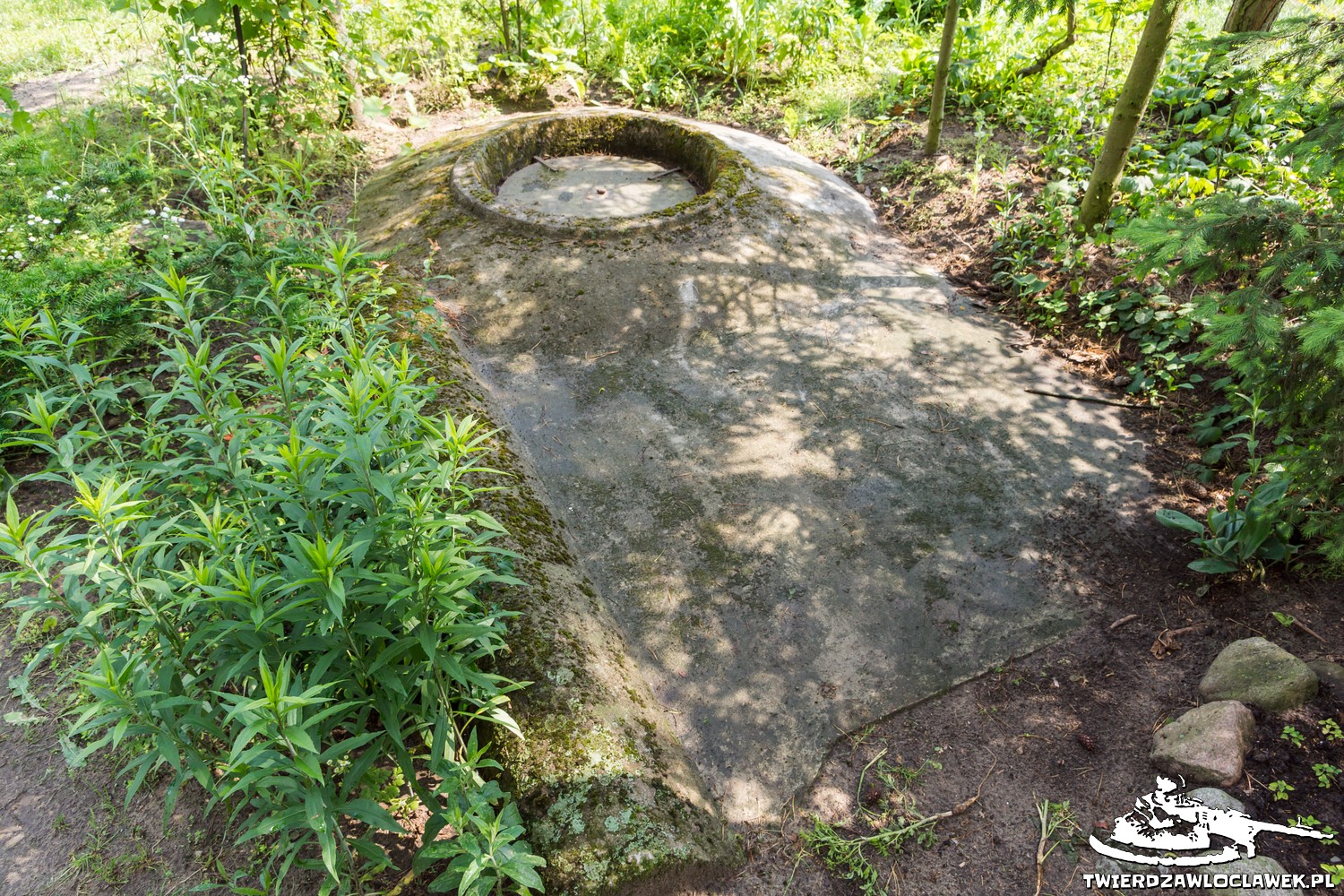 Read more about the article Schron Ringstand 58c – TO 08