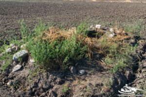 Read more about the article Schron Ringstand 58c – SZ 11