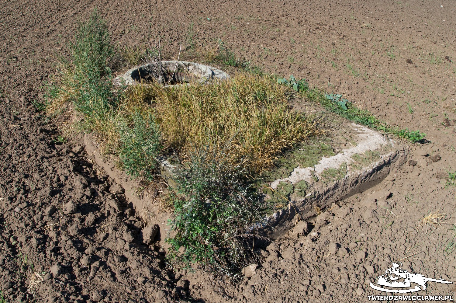 Read more about the article Schron Ringstand 58c – SZ 12