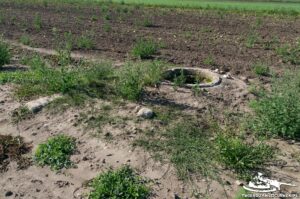 Read more about the article Schron Ringstand 58c – SZ 09