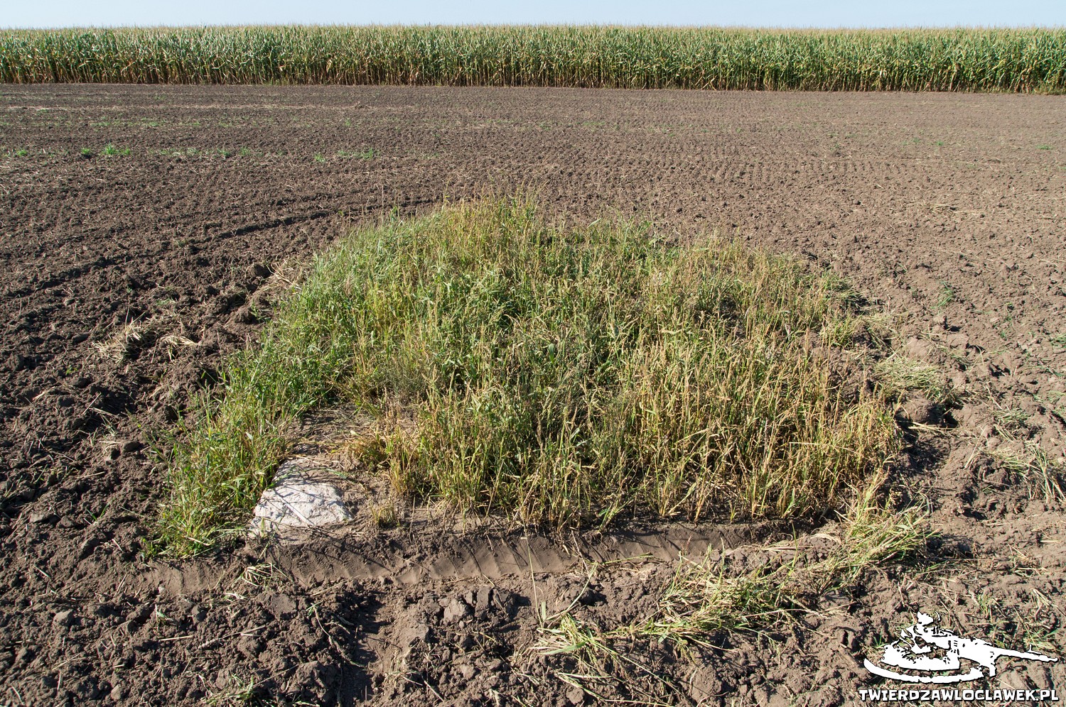 Read more about the article Schron Ringstand 58c – SZ 07