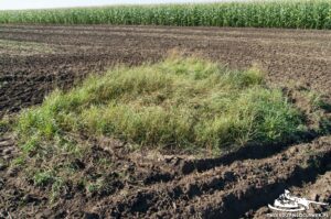 Read more about the article Schron Ringstand 58c – SZ 02