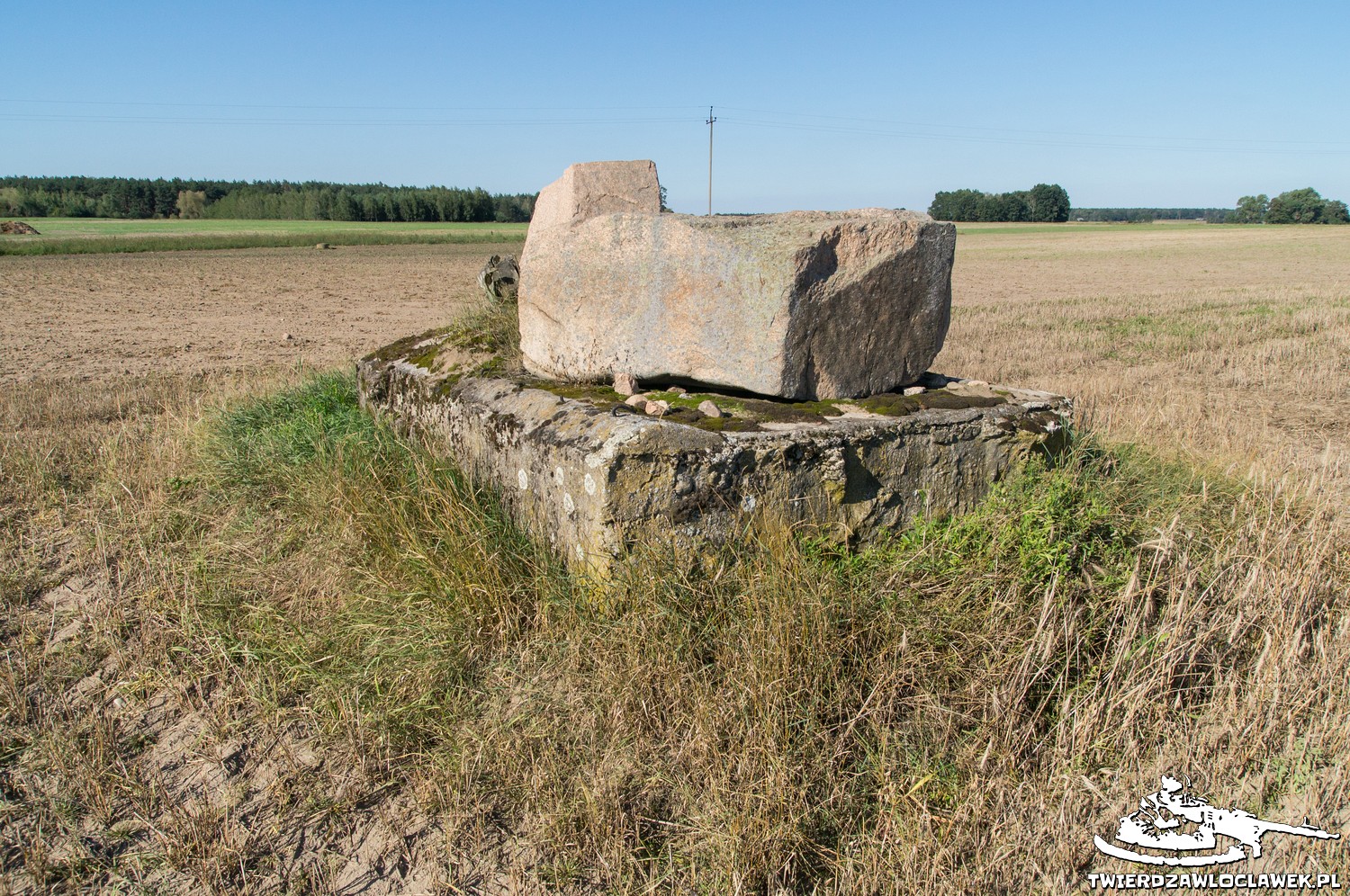 Read more about the article Schron Ringstand 58c – PK 01