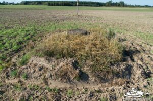 Read more about the article Schron Ringstand 58c – PK 02