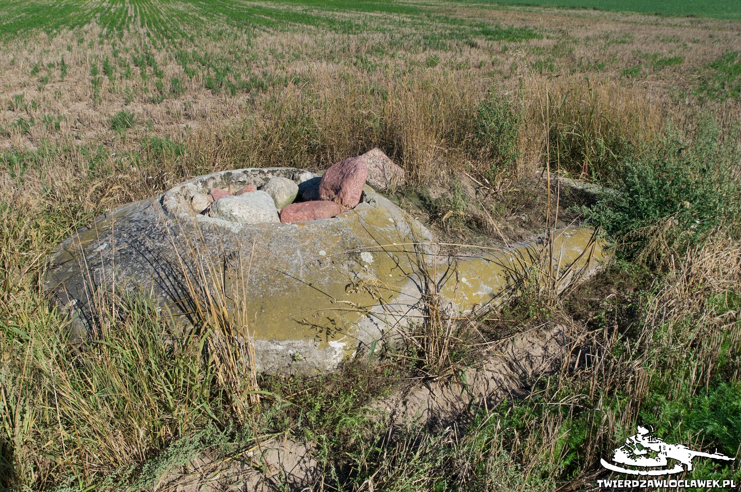 Read more about the article Schron Ringstand 58c – PK 03