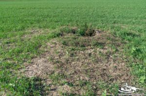 Read more about the article Schron Ringstand 58c – PK 05