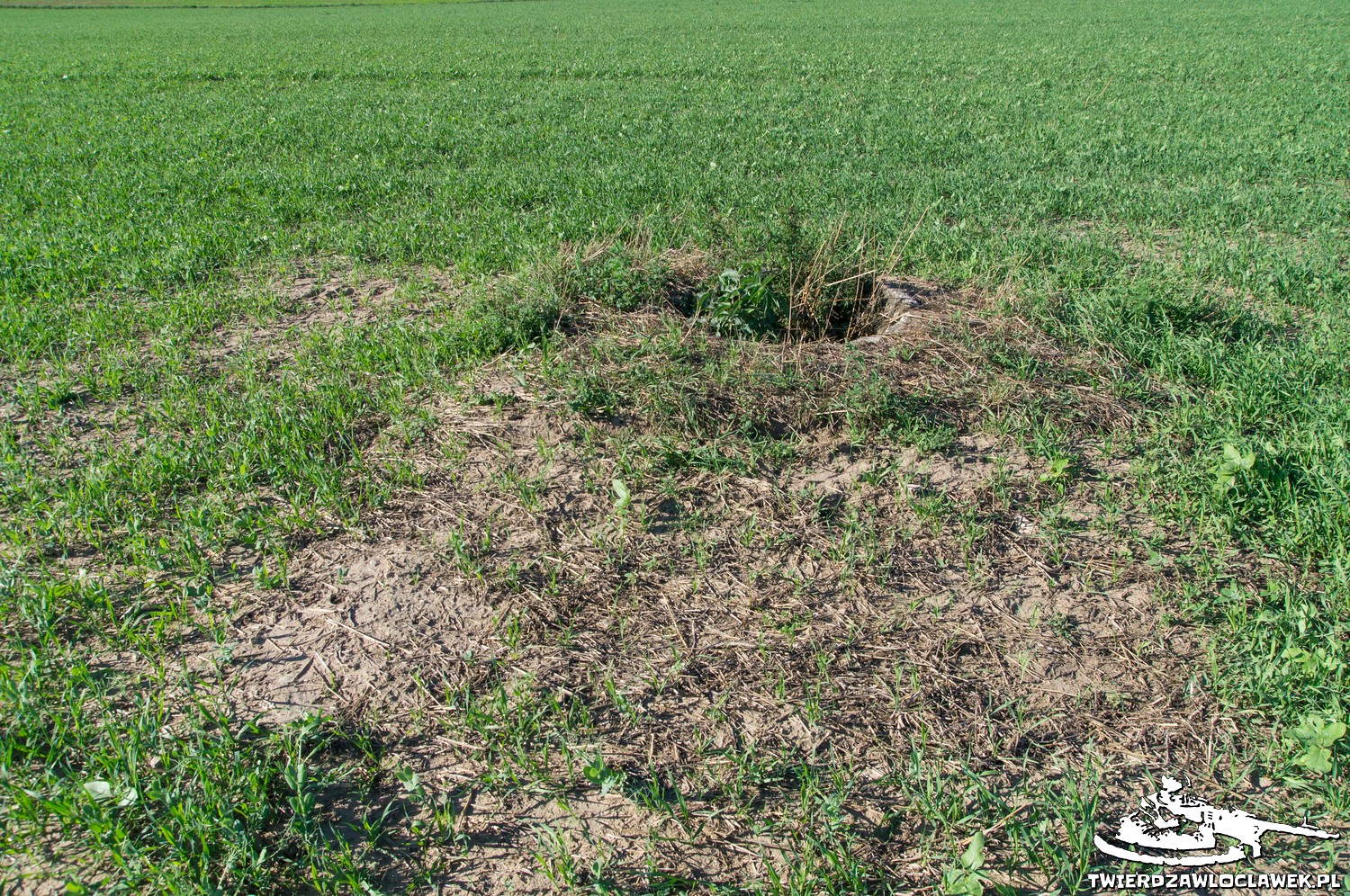 Read more about the article Schron Ringstand 58c – PK 05