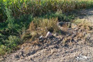 Read more about the article Schron Ringstand 58c – PK 06