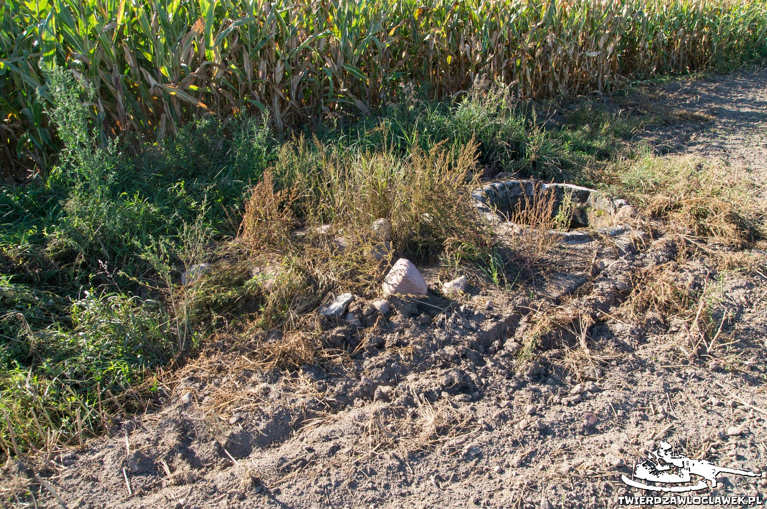 Read more about the article Schron Ringstand 58c – PK 06