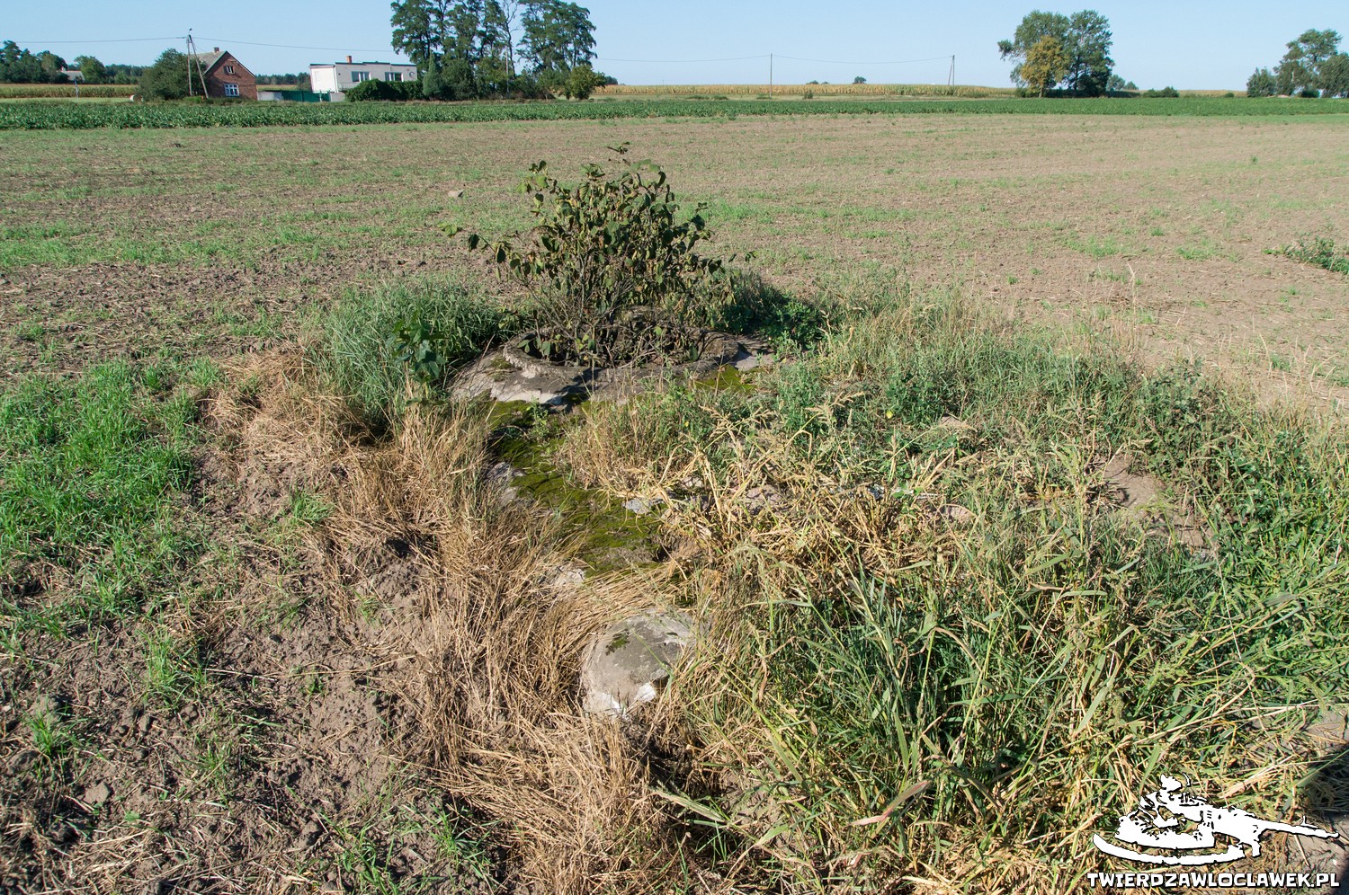 Read more about the article Schron Ringstand 58c – PK 12