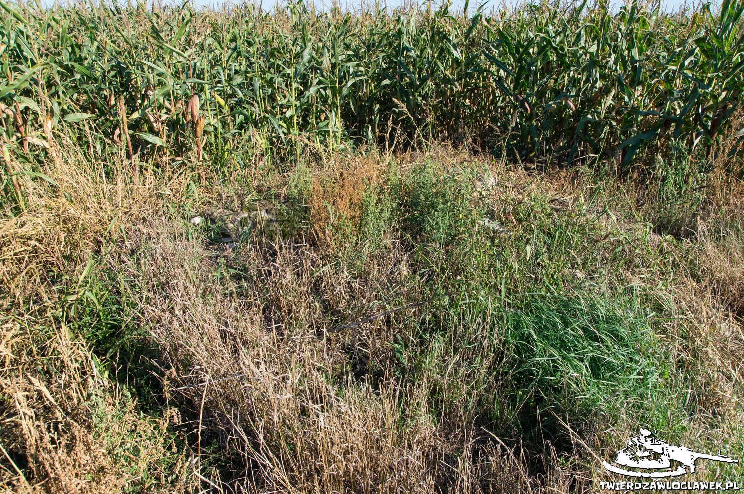 Read more about the article Schron Ringstand 58c – PK 11