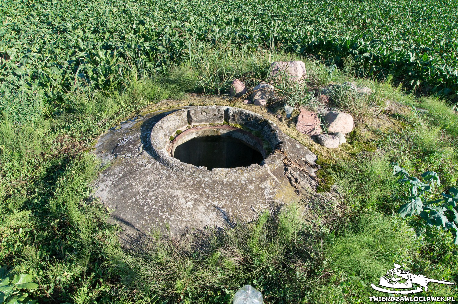 Read more about the article Schron Ringstand 58c – PK 08