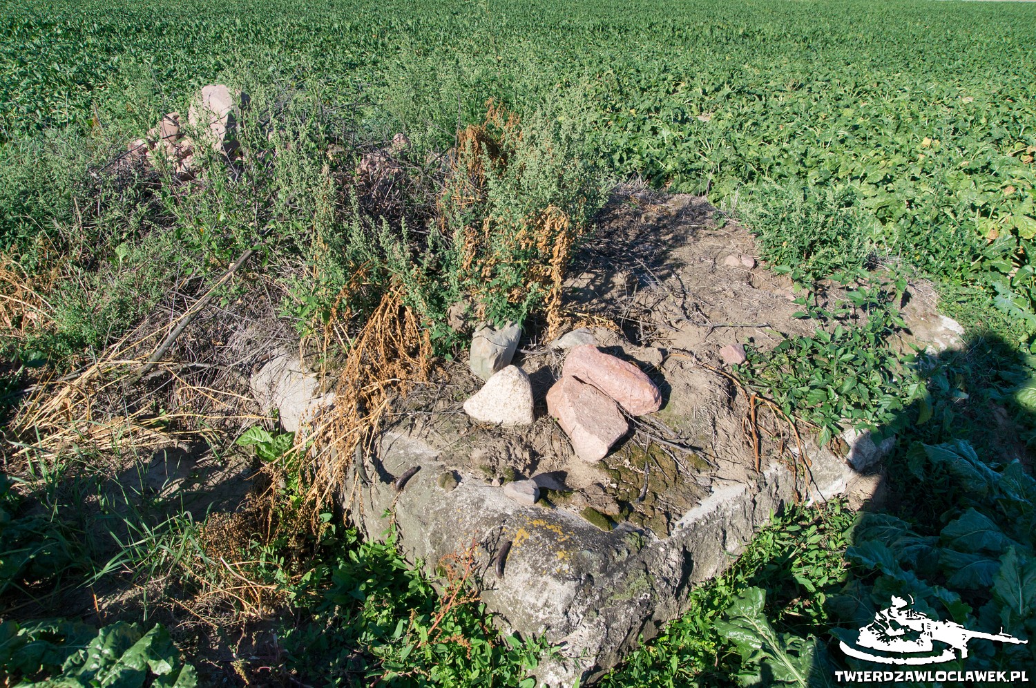 Read more about the article Schron Ringstand 58c – PK 09