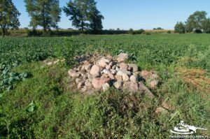 Read more about the article Schron Ringstand 58c – PK 10