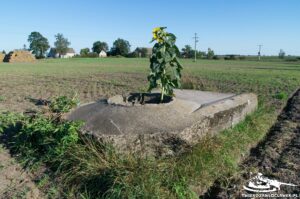 Read more about the article Schron Ringstand 58c – PK 13