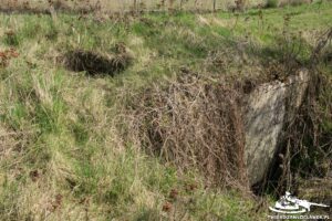 Read more about the article Schron Ringstand 58c – WI 04