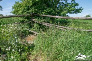 Read more about the article Schron Ringstand 58c – KZ 03