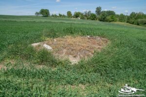 Read more about the article Schron Ringstand 58c – KZ 05