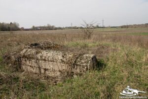 Read more about the article Schron Ringstand 58c – Z 02