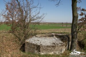 Read more about the article Schron Ringstand 58c – Z 01