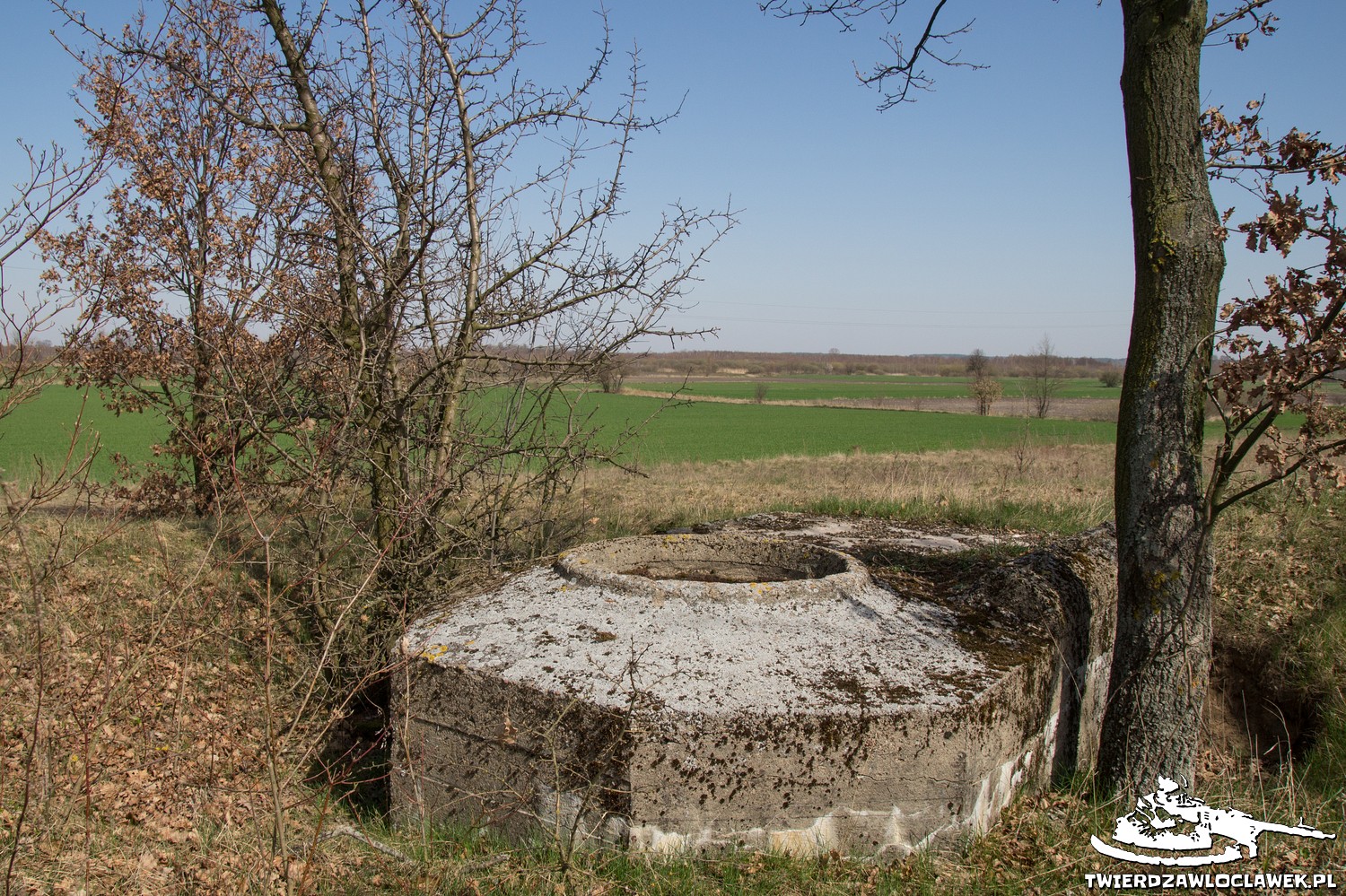 Read more about the article Schron Ringstand 58c – Z 01