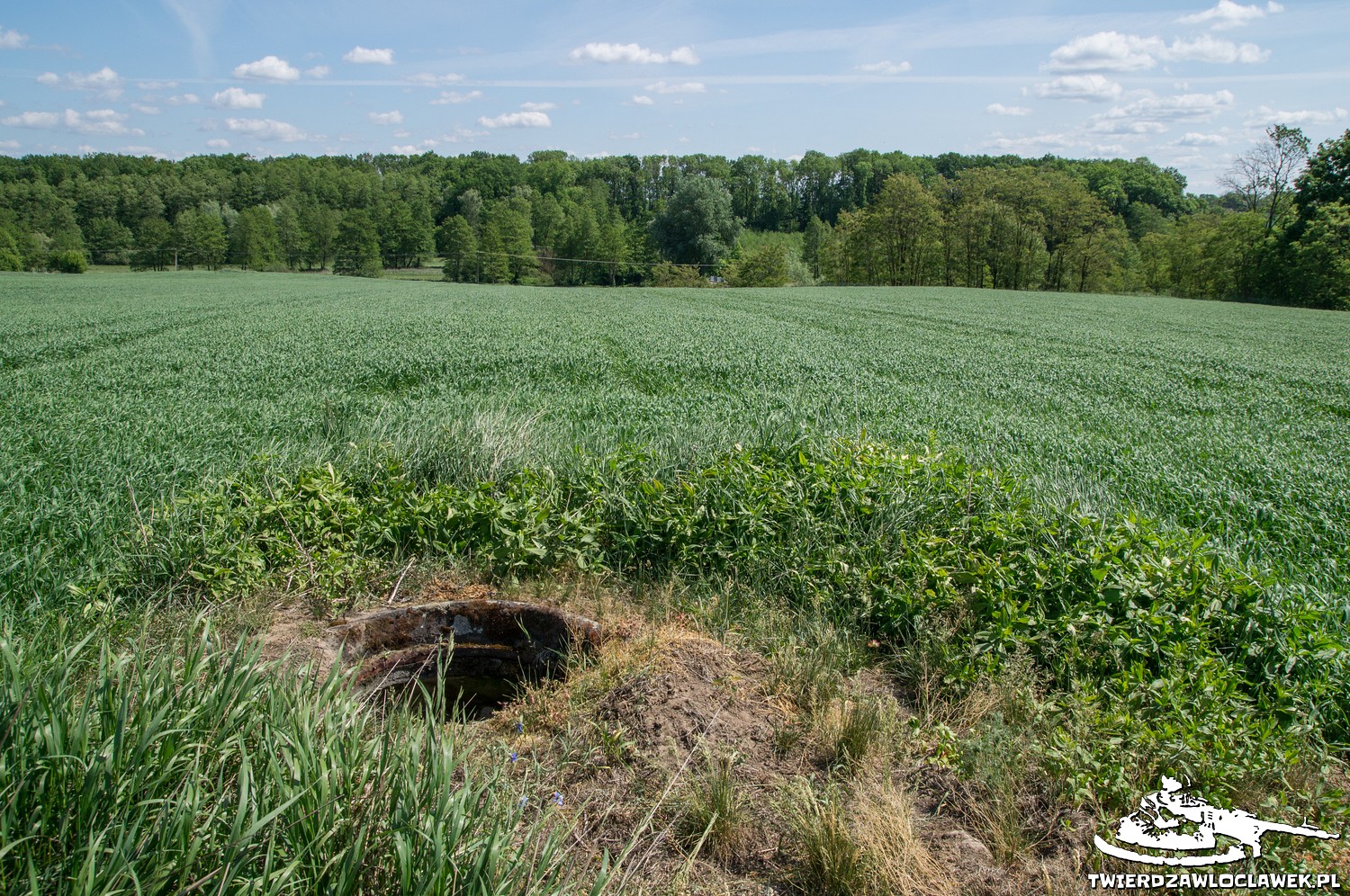 Read more about the article Schron Ringstand 58c – KZ 06