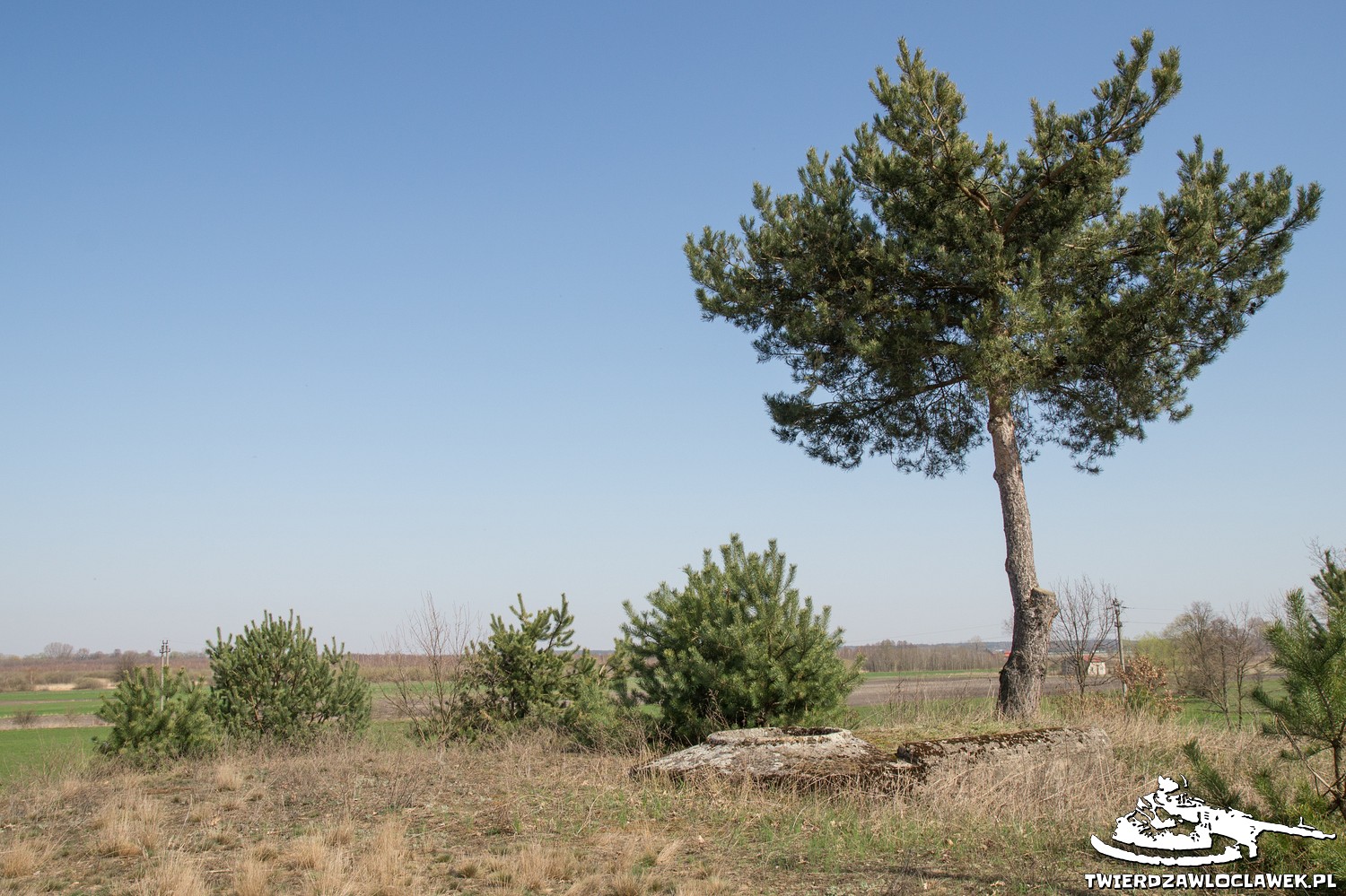 Read more about the article Schron Ringstand 58c – Z 04