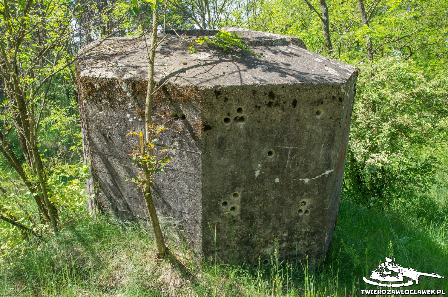 Read more about the article Schron Ringstand 58c – KZ 08