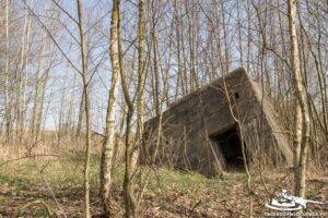 Read more about the article Schron Ringstand 58c – Z 09