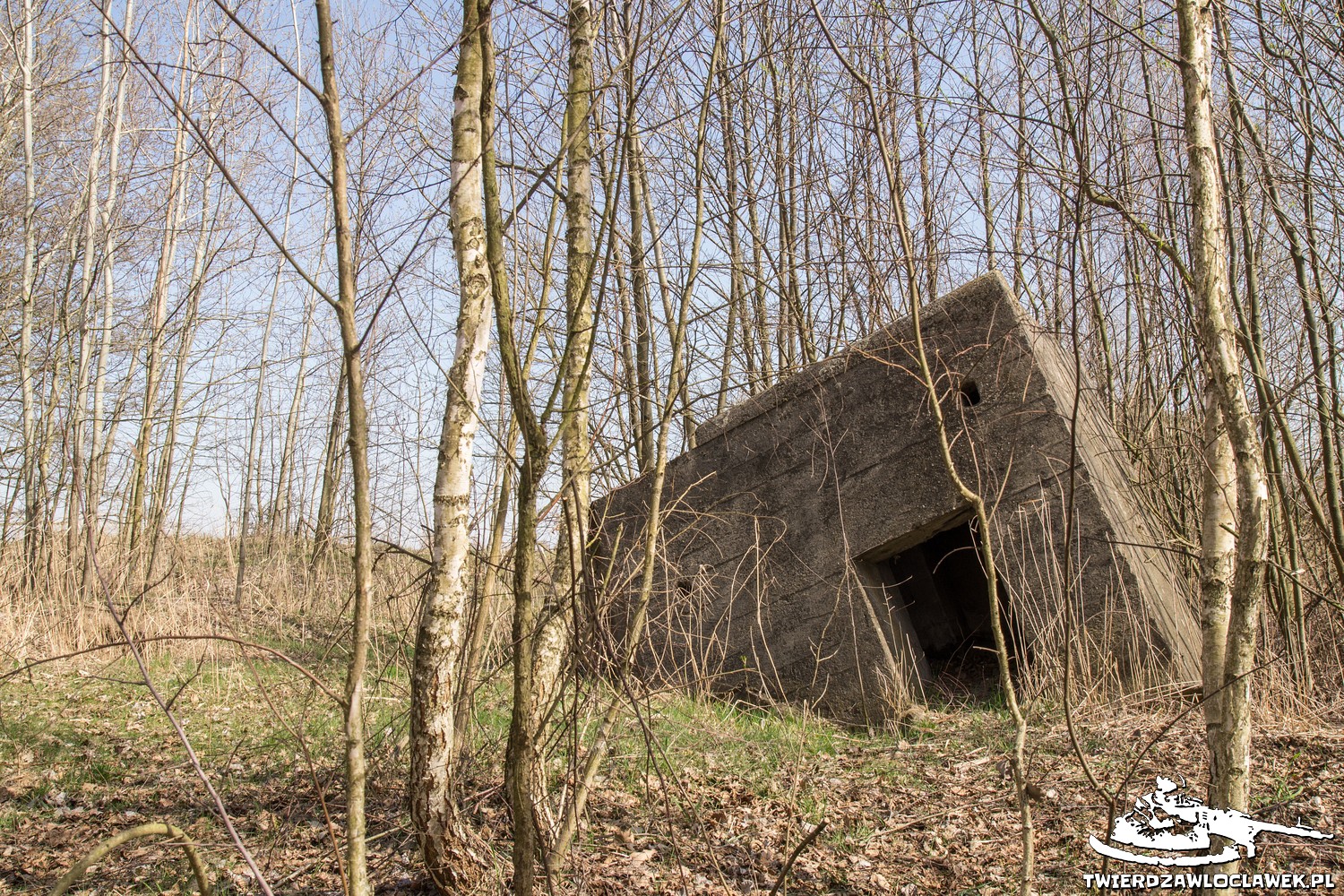 Read more about the article Schron Ringstand 58c – Z 09