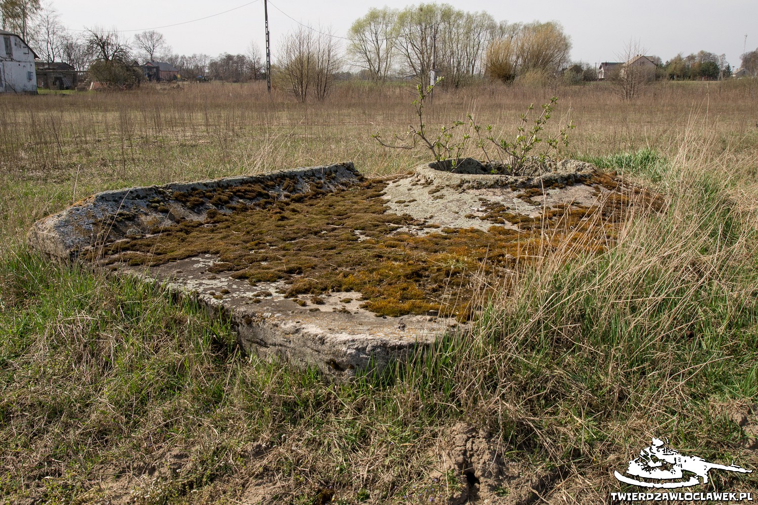 Read more about the article Schron Ringstand 58c – ZA 01