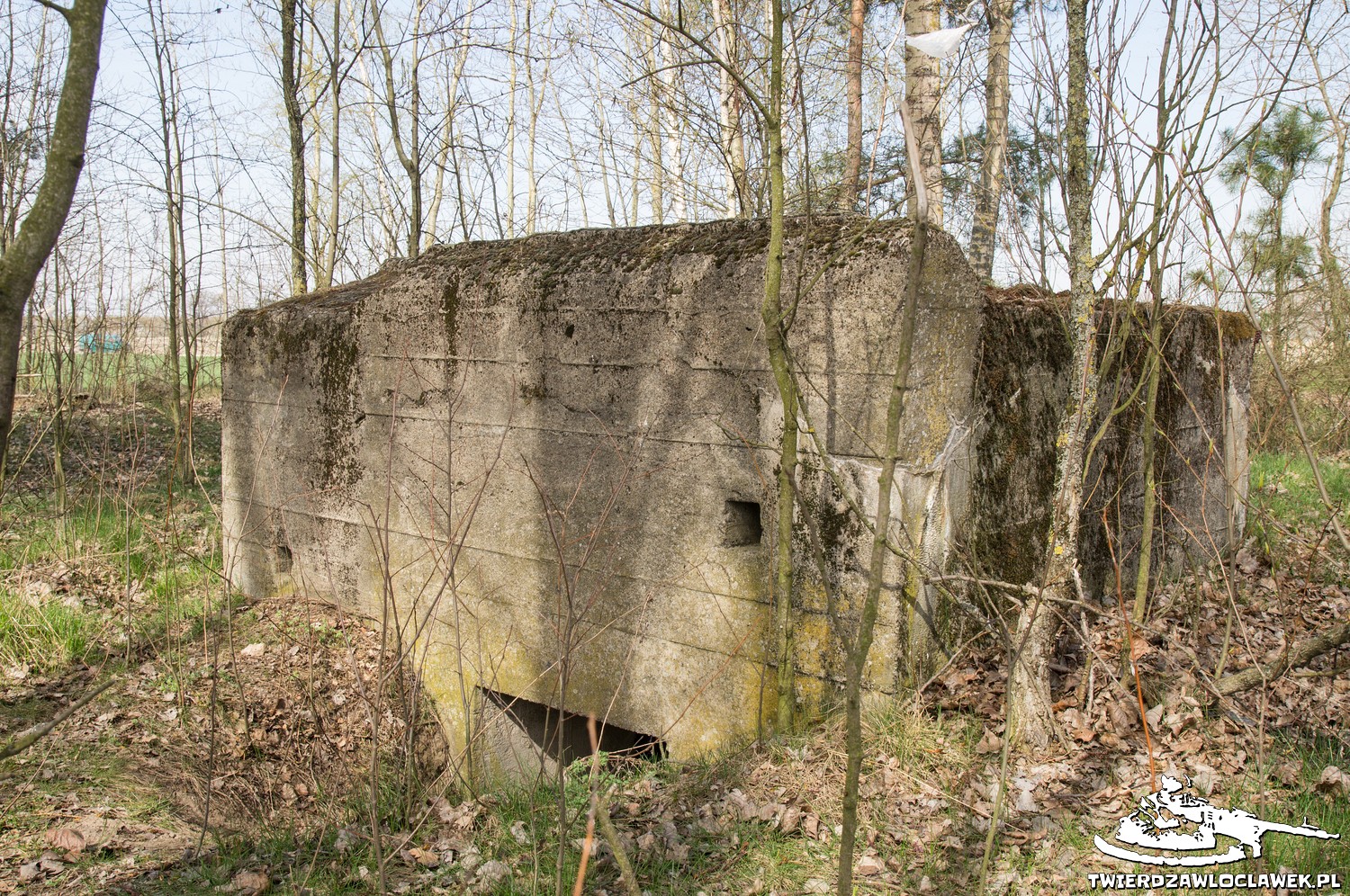 Read more about the article Schron Ringstand 58c – ZA 04