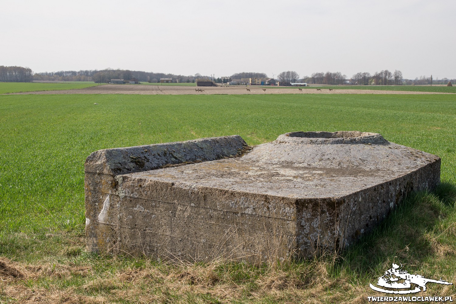 You are currently viewing Schron Ringstand 58c – K 01