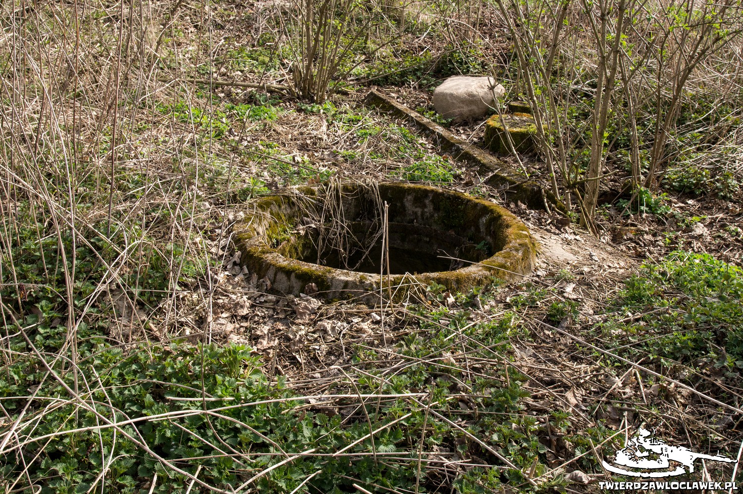 Read more about the article Schron Ringstand 58c – G 01