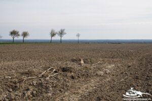 Read more about the article Schron Ringstand 58c – T 01