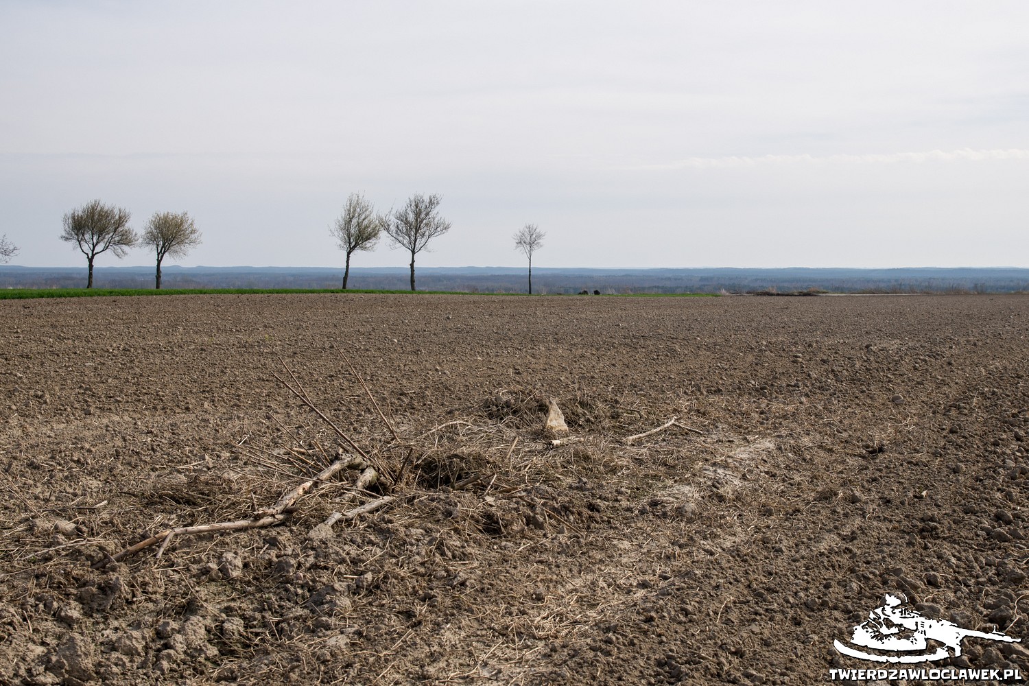 Read more about the article Schron Ringstand 58c – T 01