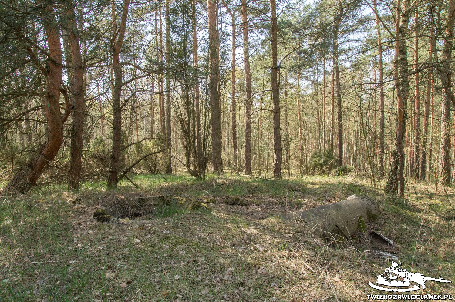 Read more about the article Schron Ringstand 58c – PG 01