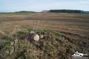 Read more about the article Schron Ringstand 58c – ZR 03