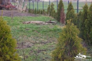 Read more about the article Schron Ringstand 58c – RA 09