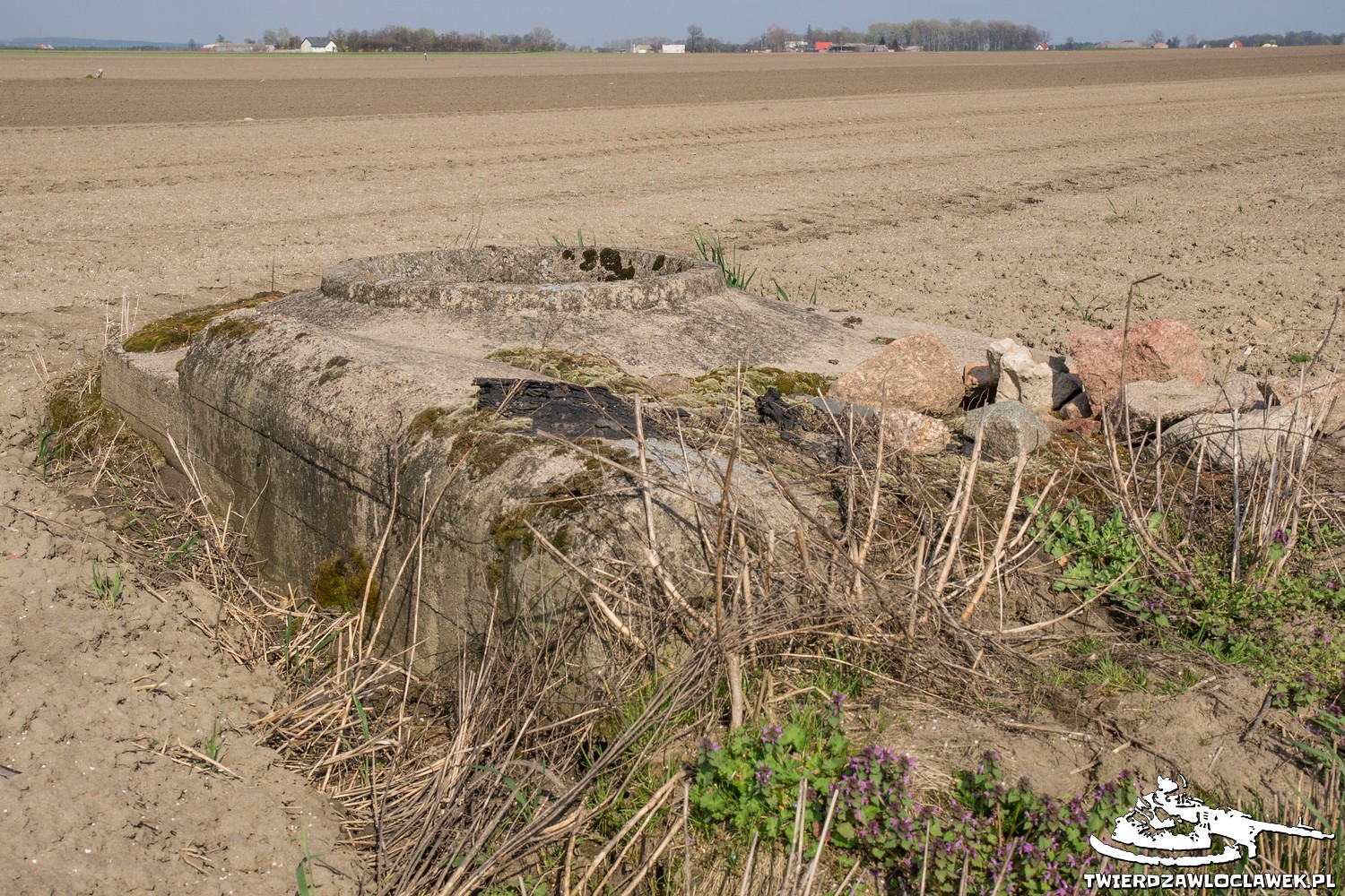 Read more about the article Schron Ringstand 58c – GU 01